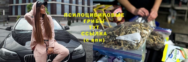СК Карпинск