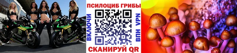 Купить где  Бодайбо  Псилоцибиновые грибы мухоморы 